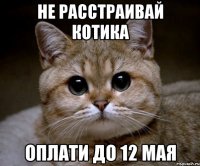 Не расстраивай котика Оплати до 12 мая