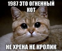 1987 это огненный кот не хрена не кролик