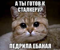 А ты готов к сталкеру? Педрила ебаная