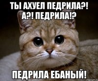 ты ахуел педрила?! а?! педрила!? педрила ебаный!