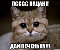 ПСССС ПАЦАН!! ДАЙ ПЕЧЕНЬКУ!!!