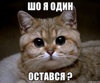 шо я один остався ?