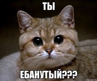 Ты Ебанутый???