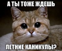 А ты тоже ждешь летние каникулы?