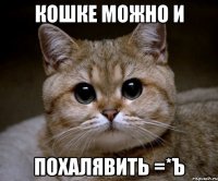 Кошке можно и похалявить =*Ъ