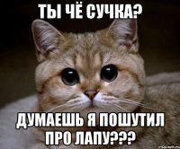 ты чё сучка? Думаешь я пошутил про лапу???