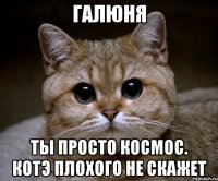 Галюня ты просто космос. Котэ плохого не скажет