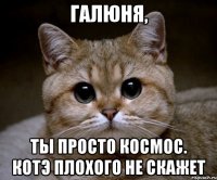 Галюня, ты просто космос. Котэ плохого не скажет