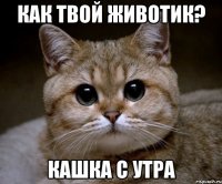 Как твой животик? Кашка с утра