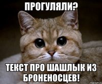 Прогуляли? Текст про шашлык из броненосцев!