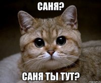 Саня? Саня ты тут?