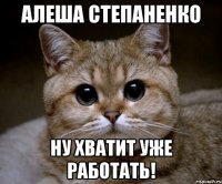 АЛЕША СТЕПАНЕНКО ну хватит уже работать!