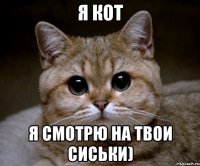 Я кот я смотрю на твои сиськи)