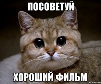 Посоветуй хороший фильм