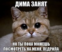 Дима занят но ты пока можешь посмотреть на меня, педрила