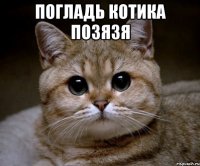 ПОГЛАДЬ КОТИКА ПОЗЯЗЯ 