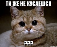 Ти же не кусаешся ???