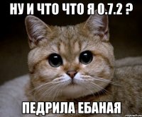 ну и что что я 0.7.2 ? Педрила ебаная