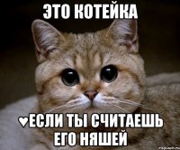 это котейка ♥если ты считаешь его няшей