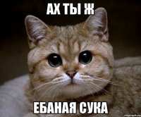 АХ ТЫ Ж ЕБАНАЯ СУКА