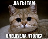 да ты там очешуела чтоле?