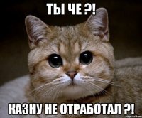 Ты че ?! Казну не отработал ?!