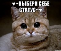 ♥~выбери себе статус~♥ 