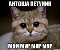 АНТОША ПЕТУНИН Мой мур мур мур