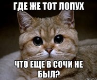 Где же тот лопух Что еще в Сочи не был?