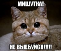 Мишутка! Не выебуйся!!!!!