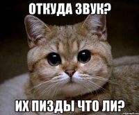 откуда звук? их пизды что ли?