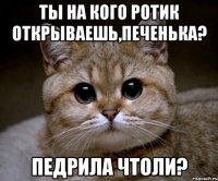 ты на кого ротик открываешь,печенька? педрила чтоли?