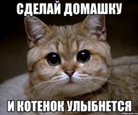 Сделай домашку И котенок улыбнется