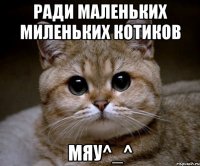 Ради маленьких миленьких котиков Мяу^_^