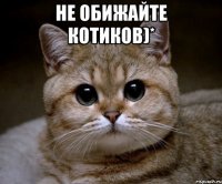 НЕ ОБИЖАЙТЕ КОТИКОВ)* 