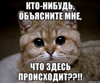 Кто-нибудь, объясните мне, ЧТО ЗДЕСЬ ПРОИСХОДИТ??!!