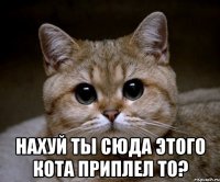  нахуй ты сюда этого кота приплел то?