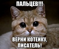 Пальцев!!! Верни котейку, писатель!