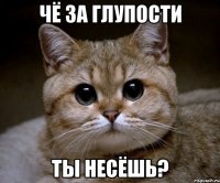 ЧЁ ЗА ГЛУПОСТИ ТЫ НЕСЁШЬ?