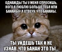 Однажды ты у меня спросишь, кого я люблю больше тебя или бананы? Я отвечу, что бананы. Ты уйдешь так и не узнав, что банан это ты...