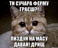 ти сучара ферму граєш?! Пиздуй на масу давай! дрищ