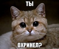 ТЫ ОХРИНЕЛ?