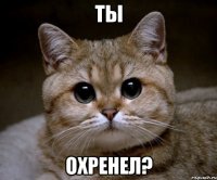 ТЫ ОХРЕНЕЛ?