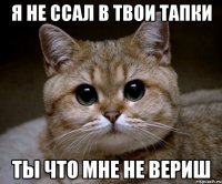 Я не ссал в твои тапки ты что мне не вериш