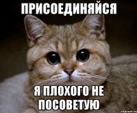 ПРИСОЕДИНЯЙСЯ я плохого не посоветую