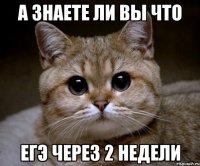 а знаете ли вы что егэ через 2 недели