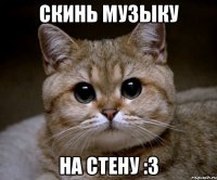 Скинь музыку на стену :3