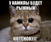 у камилы будет рыжиый КОТЁНОК)))*