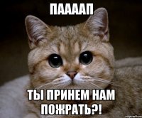 Паааап ты принем нам пожрать?!