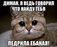 Диман, я ведь говорил что найду тебя Педрила ебаная!